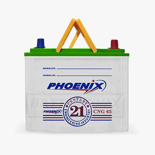 Phoenix CNG-65 Lead Acid Unsealed Car Battery